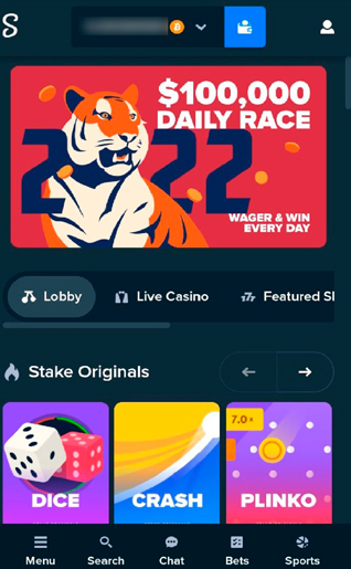Stake Casino mobile version